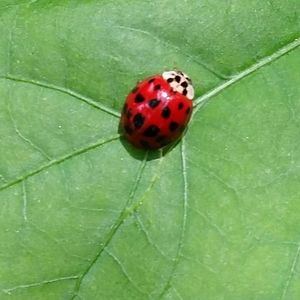 Meet your Posher, Katherine